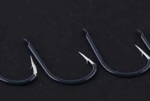 3号伊豆钩适合钓鲫鱼吗，体型不等的鲫鱼均可垂钓