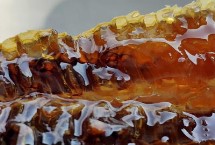 雪脂莲蜜的正确吃法，多呈透明的琥珀色