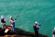 能用蚯蚓做</strong><strong>海钓</strong><strong>饵吗，有活饵和死饵