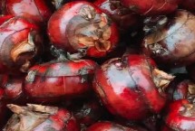 荸荠能否生吃，可以生吃但要注意去皮