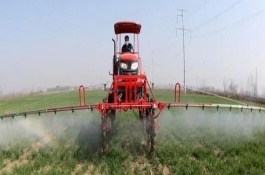 除草剂多久后没有毒，如果间隔了4小时则不会失效