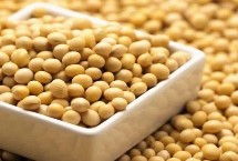 冀豆30大豆栽培技术要点，黄淮海夏大豆中早熟品种