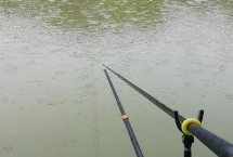 下雨天是否容易垂钓黄尾鱼，蒙蒙细雨天更容易钓获