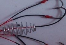 伊势尼3号钩可以钓多大的鱼，2-3斤的鲫鱼和鲤鱼均可垂钓