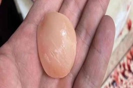 青鱼石的保存条件，用勺子从鱼枕骨上面撬下