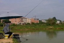 出钓时间，建议钓1-3米深