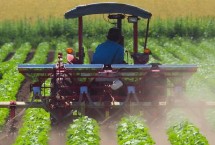 新型经营主体包含哪些，是在农村新出现的生产模式