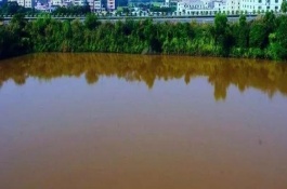 产生水锈的原因，在养殖之前就需要进行彻底的清塘