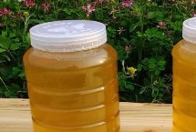 哪种蜂蜜才算比较好，由蜜蜂酿制成熟的自然蜜就是好蜂蜜