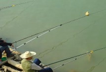 最简单的鲫鱼饵料制作方法，根据鱼情和水情搭配饵料