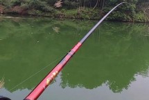 太平洋，这10个品牌质量和售后都有保障