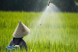 农药配置注意事项，低毒性、容易分解的药物只需1天左右