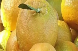 永春县简介，有永春芦柑、佛手茶等