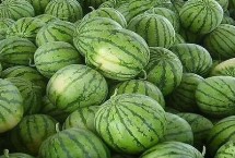 怎样挑选无籽西瓜，表皮光滑、纹路清晰的西瓜口感通常较好