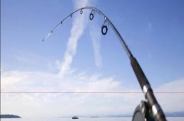 溪流竿的品牌有哪些，前者泛指手竿、后者是手竿和海竿的统称