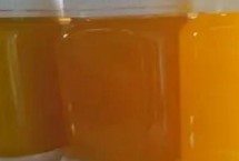 槐花蜜结晶是什么颜色，一般呈浅黄色细粒状