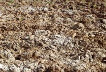 磷肥为什么不能加熟石灰，可改良土壤酸碱度