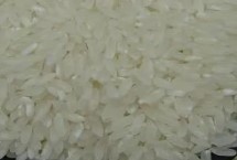 东北大米的品种，常见的有长粒香、稻花香、珍珠米等