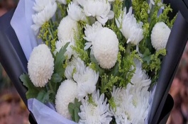 清明节气吃什么，菊花的花语有怀念的意思