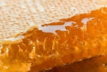 假蜂巢蜜怎么鉴别，一般只有糖浆味且形状比较规则