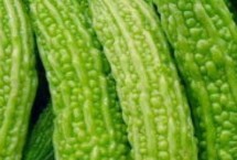 什么是黑苦瓜，包括滑身苦瓜、长身苦瓜、夏丰苦瓜等种类