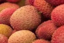 怀枝荔枝的特点，果皮暗红、果顶浑圆、单果重达到20克