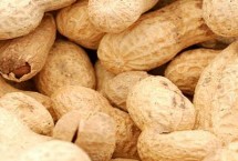 春花生什么时候打控旺药，南方地区一般在7-8月收获