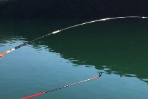 光威，主要有溪流竿和炮竿两大类