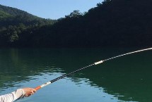 饵料，洄湾处更适合作钓