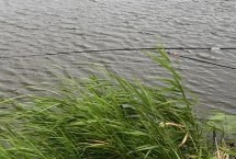 野钓的技巧，适当减轻铅皮、饵料的重量