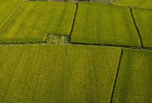 耕地是农田吗，属性和用途均不同