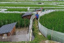 生态养殖模式有哪些，常见以下7种