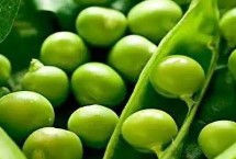豌豆能保存多久，煮熟后放冰箱冷冻可保存一年