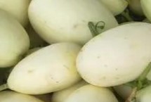 甜瓜是什么季节的水果，通常都是在夏季上市