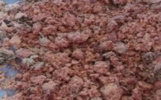 黑坑钓鲤鱼线组怎么搭配，效果比较不错