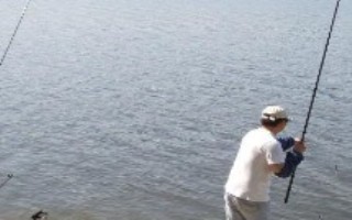 鲤鱼漂相，每个鱼种漂相不一样