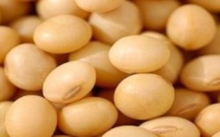 邯豆24大豆栽培技术要点，每隔7~10天防治1次