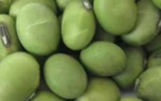 青豆种植时间和生长期，荚果和豆粒均不同