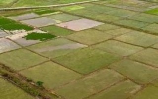 耕地等级划分，前者是指被总体规划不得占用的耕地、后者是指经常耕耘的土地