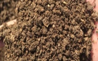 生物有机肥和化肥的对比，前者本身含有多种养分、后者通过微生物的生命活动产生肥效