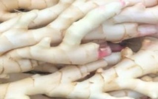 仔姜和老姜的区别，熟度、味道和外观均不同