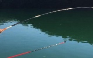 伊豆4号钩适合钓多大的鱼，钩身长度接近13毫米