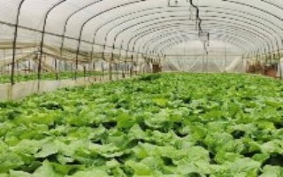 注意事项，浇水一次不可浇太多