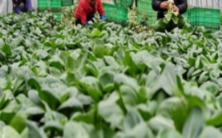 专业合作社和农民专业合作社的区别，入社自愿、退社自由、民主选举和民主决策等