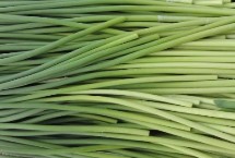 蒜苔怎样收割，大蒜长到一定程度就会分化出细长的茎