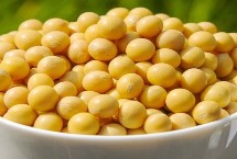 桦豆2大豆栽培技术要点，普通品种