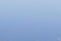 钓具搭配，选好时间和饵料