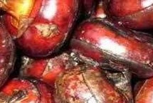 中国荸荠的主产地，白湖镇是中国最大的荸荠之乡