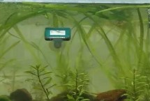 怎么给鱼缸换水，一般采用热水兑冷水的方式