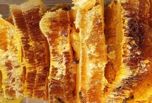 蜂蜜结晶的影响因素，并不是唯一鉴定标准